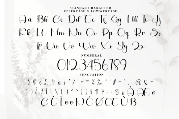 Catalina Font - Preview 5