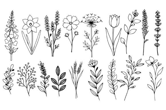 Set of Herbs and Wild Flowers Vector Art