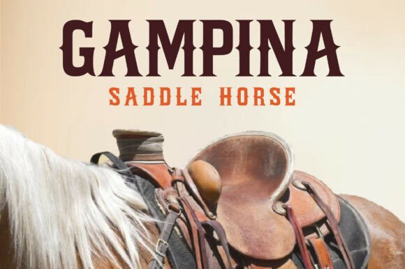 Cowboy Rodeo Font PNG with transparent background - Preview 1