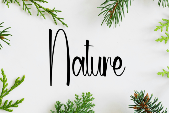 Signaday Font PNG with transparent background - Preview 2