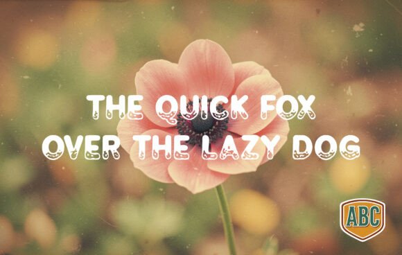 Anemone Font - Preview 1
