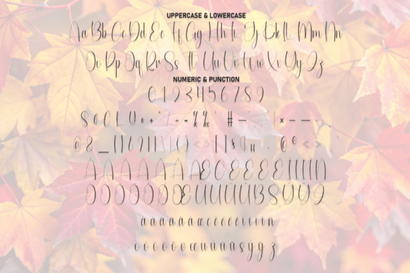 Autumn Font - Preview 6
