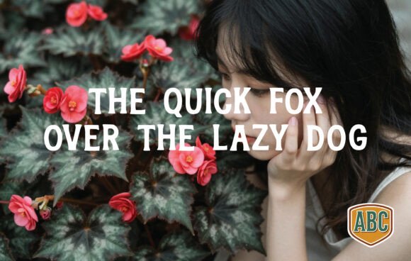 Begonia Font - Preview 1