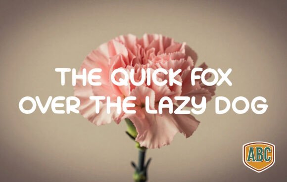 Carnation Font - Preview 1