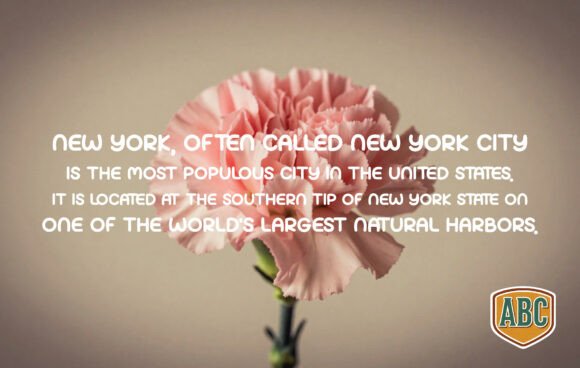 Carnation Font - Preview 2