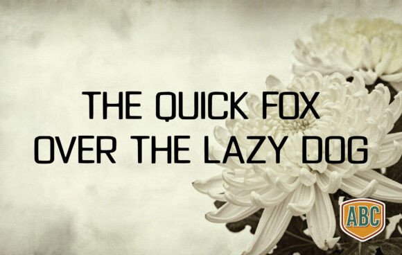Chrysanthemum Font PNG with transparent background - Preview 1