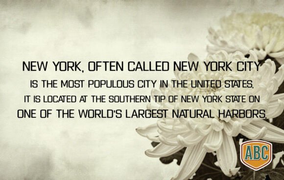 Chrysanthemum Font PNG with transparent background - Preview 2