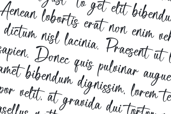 Delica Sitteen Font - Preview 1