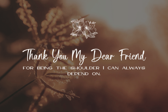 Delica Sitteen Font - Preview 4