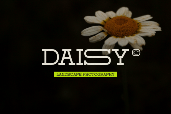 Domesia Font - Preview 2