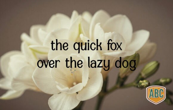 Freesia Font PNG with transparent background - Preview 1