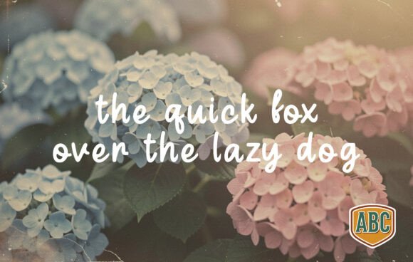 Hydrangea Font PNG with transparent background - Preview 1
