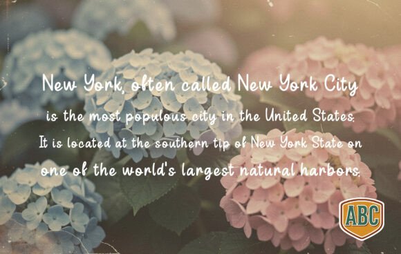 Hydrangea Font PNG with transparent background - Preview 2