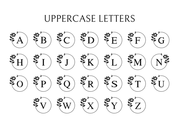 Luna Hibiscus Font PNG with transparent background - Preview 5