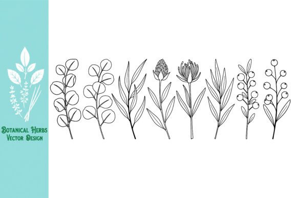 Modern Botanical Line Sketch Vector