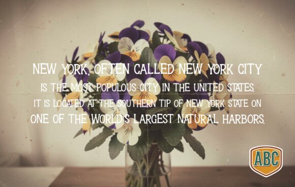 Pansy Font PNG with transparent background - Preview 2