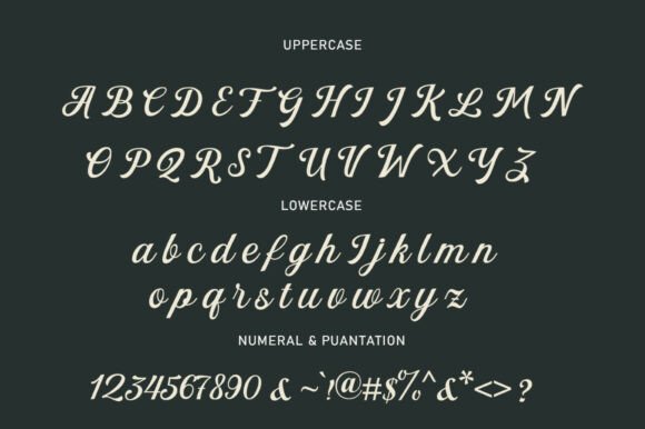 Paredise Calligraphy Font PNG with transparent background - Preview 5