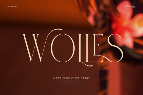 Wolles Elegant Modern Serif Serif Font By ElegantFont