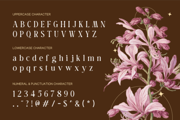Barabella Font - Preview 1
