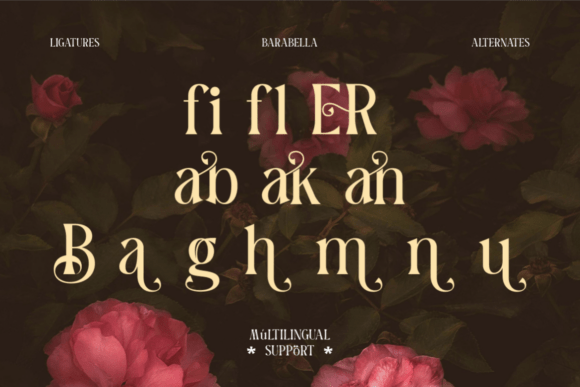 Barabella Font - Preview 3
