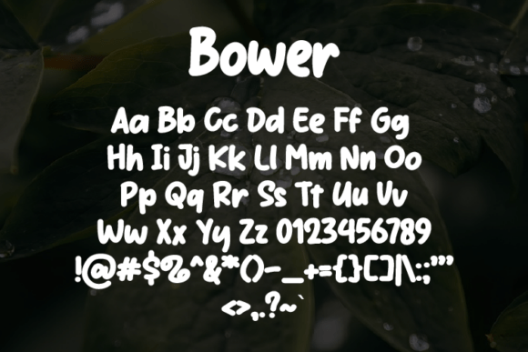 Bower Font - Preview 1