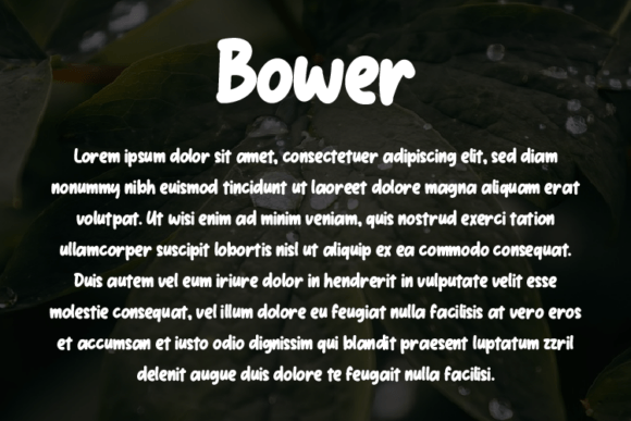 Bower Font - Preview 2