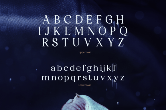 Fyorin Font - Preview 1