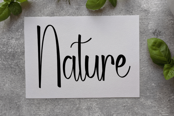 Glandis Font - Preview 2
