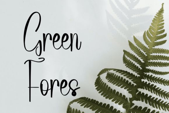 Glandis Font - Preview 3