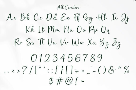 Midnight Script Font PNG with transparent background - Preview 3