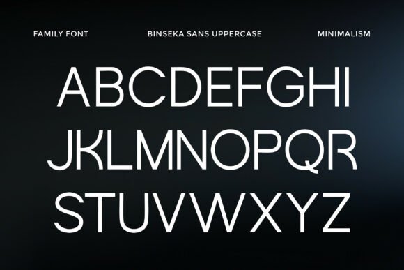 Binseka Font - Preview 6