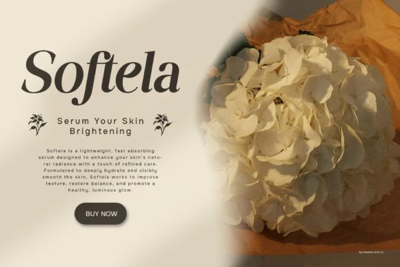 Saffiera Font PNG with transparent background - Preview 1
