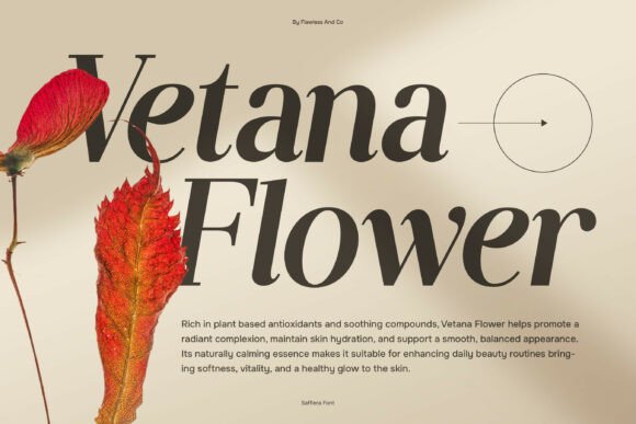 Saffiera Font PNG with transparent background - Preview 2