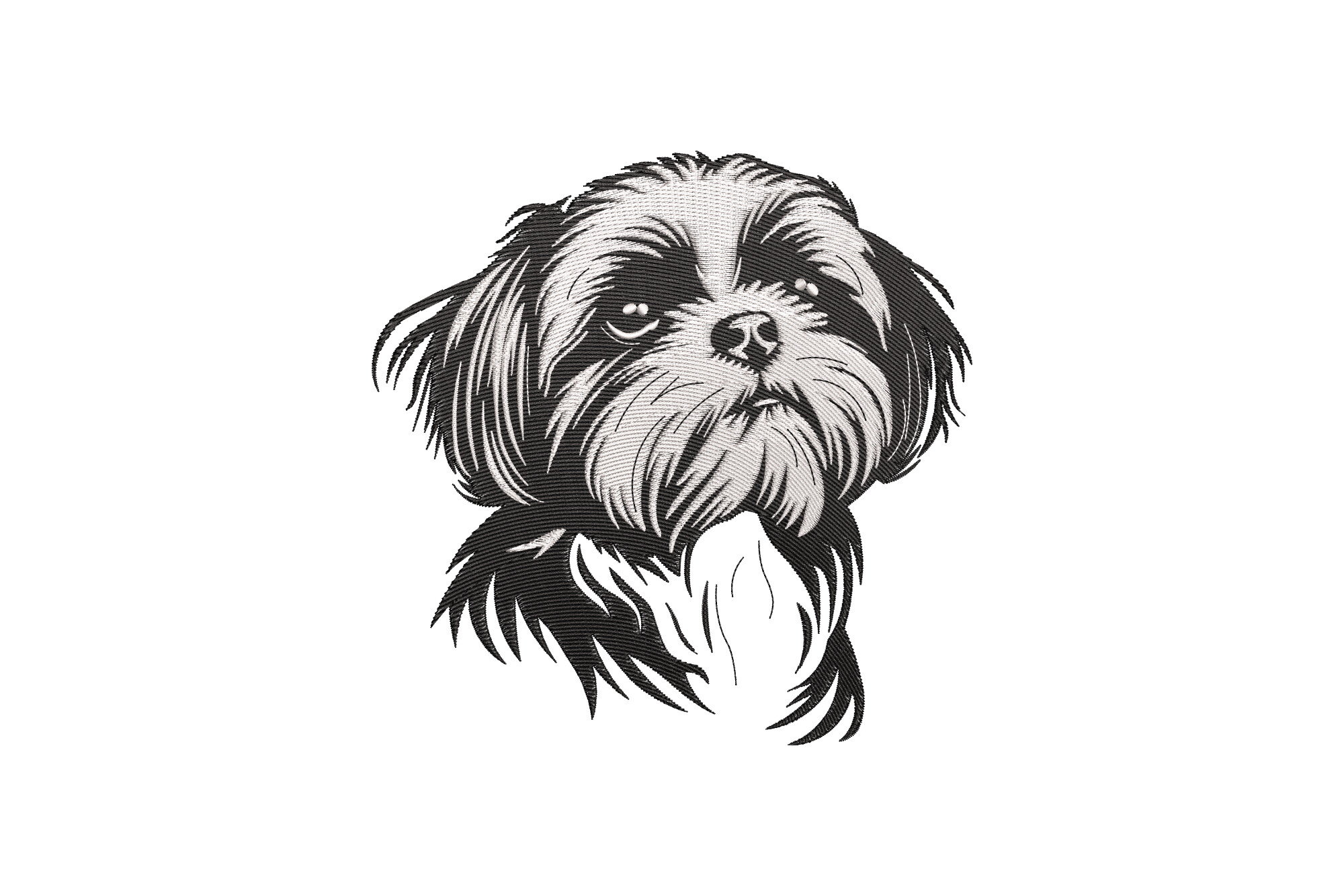 Shih Tzu Dog