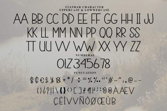 Alignment Font - Preview 4