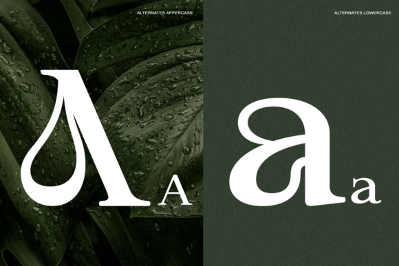 Aragusha Font - Preview 1