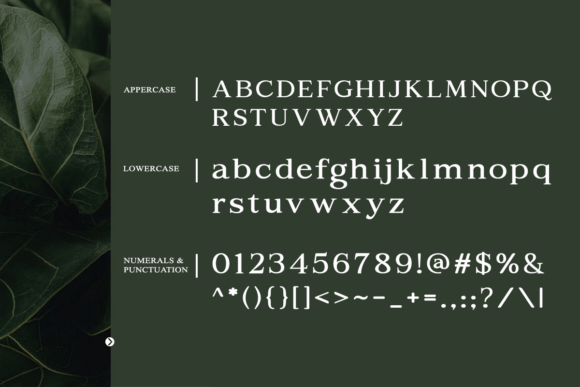 Aragusha Font - Preview 6
