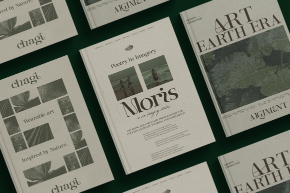 Entielin Font - Preview 4