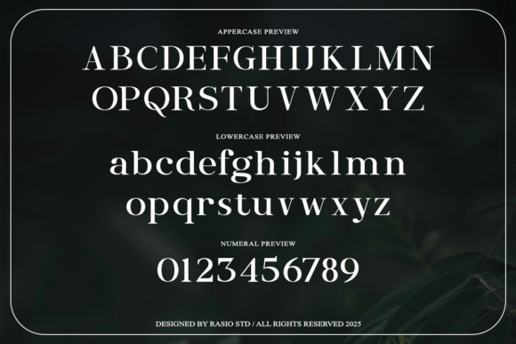 Entielin Font - Preview 6