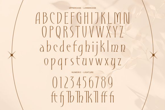 Fickler Font - Preview 1