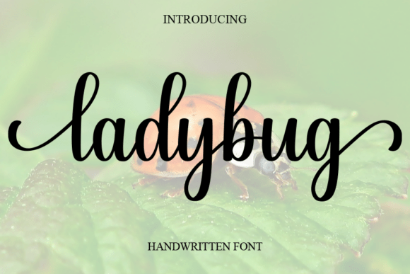 Ladybug