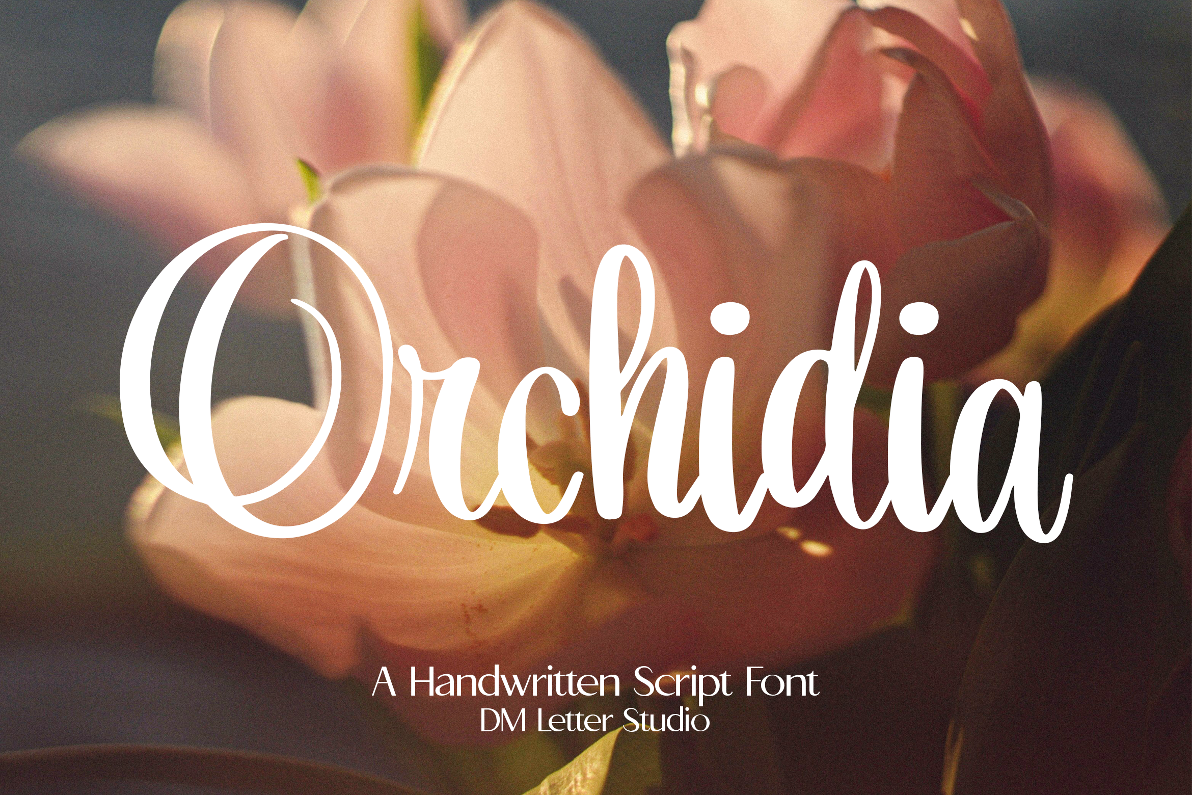 Orchidia