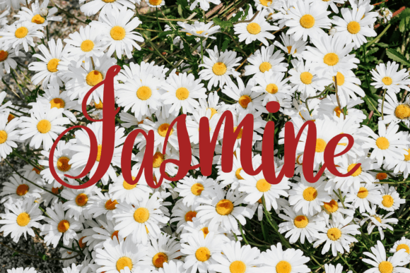 Orchidia Font PNG with transparent background - Preview 2