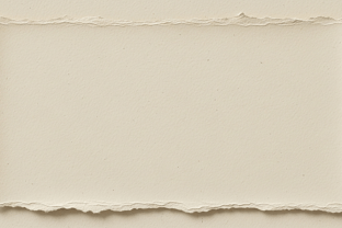 Torn Paper Edge Border Cream Texture