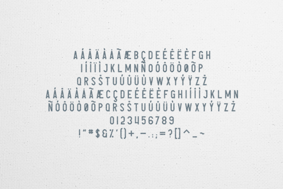 Avoqado Font - Preview 4