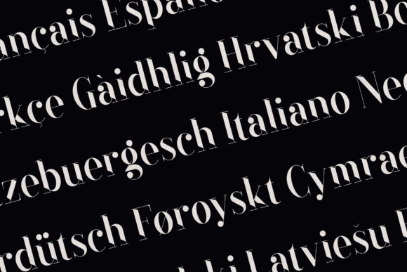 Black Goose Font - Preview 2