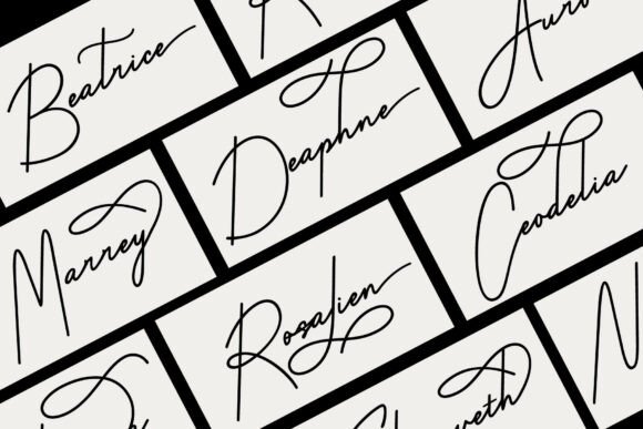 Bridney Hallway Font - Preview 2