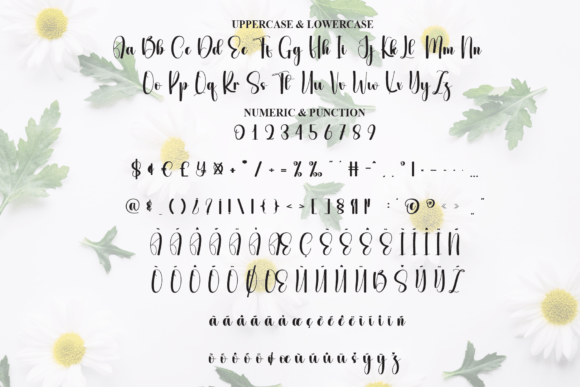 Daisy Font - Preview 6