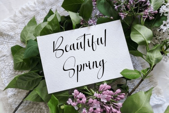Arabella Font - Preview 3
