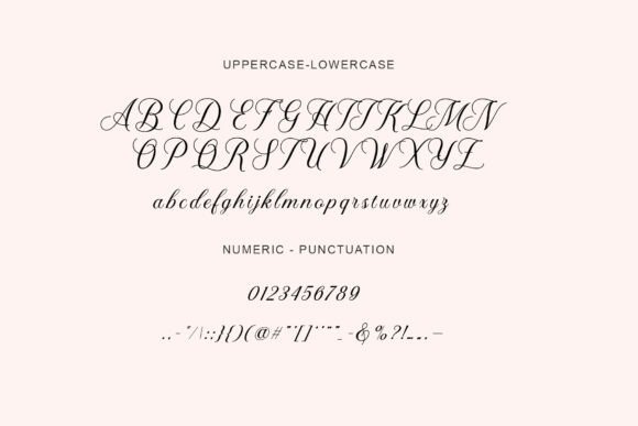 Ashley Font - Preview 2